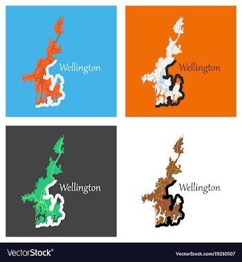Set of detailed flat map of wellington new zealand vector image