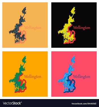 Set of detailed flat map of wellington new zealand vector image