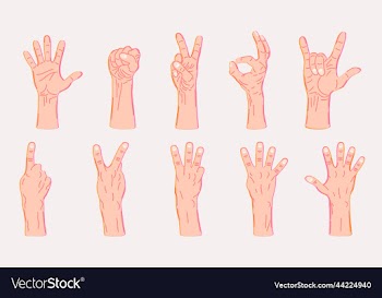 set of different hand gestures