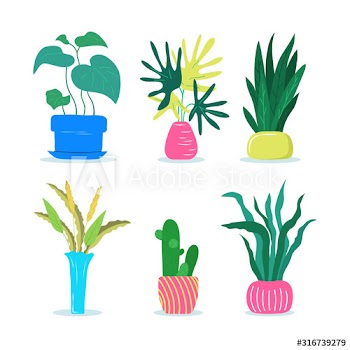 Set of different house plants with green leaves in pots