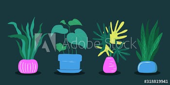 Set of different house plants with green leaves in pots
