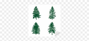 Set Of Different Silhouettes Of Green Pine Trees, Vector - Cedar Tree Silhouette