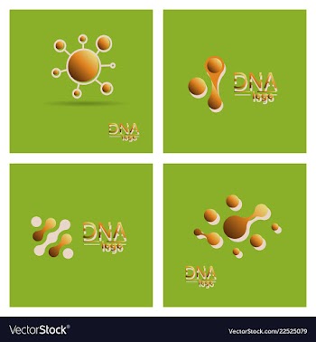 Set of dna design over white background vector image