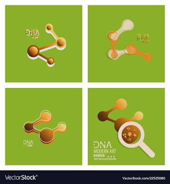 Set of dna design over white background vector image