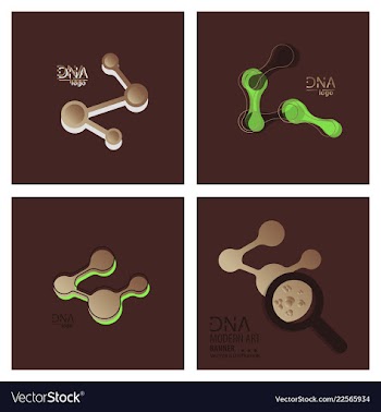 Set of dna design over white background vector image