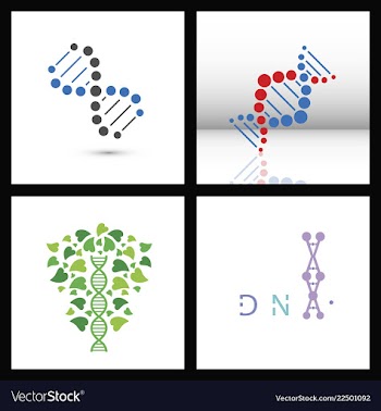 Set of dna helix logo template genetics design vector image