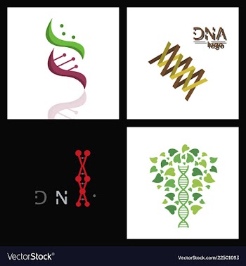 Set of dna helix logo template genetics design vector image