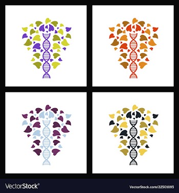Set of dna helix logo template genetics design vector image