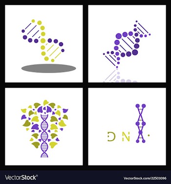 Set of dna helix logo template genetics design vector image