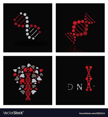 Set of dna helix logo template genetics design vector image