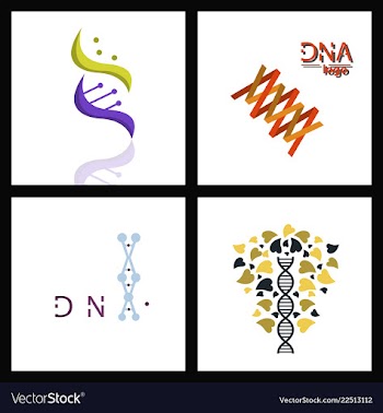 Set of dna helix logo template genetics design vector image