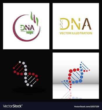 Set of dna helix logo template genetics design vector image