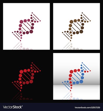 Set of dna helix logo template genetics design vector image