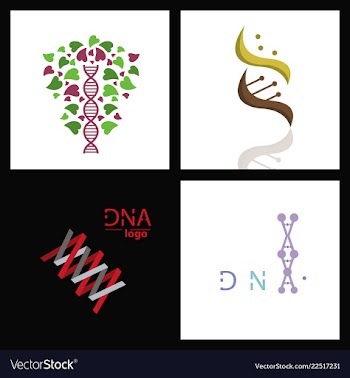 Set of dna helix logo template genetics design vector image