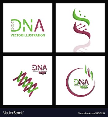 Set of dna helix logo template genetics design vector image