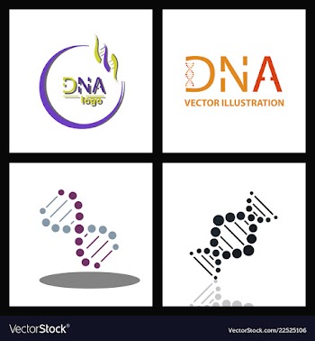 Set of dna helix logo template genetics design vector image