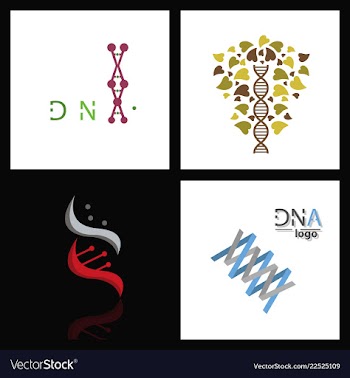 Set of dna helix logo template genetics design vector image