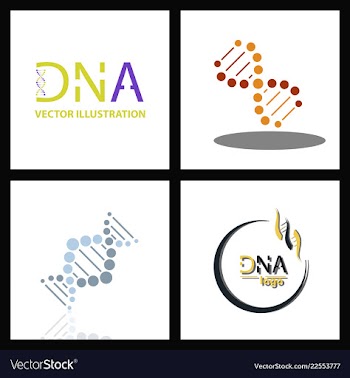 Set of dna helix logo template genetics design vector image