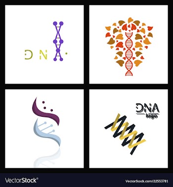 Set of dna helix logo template genetics design vector image