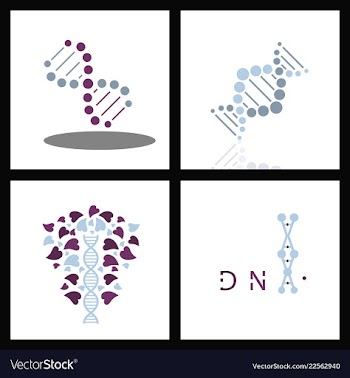 Set of dna helix logo template genetics design vector image