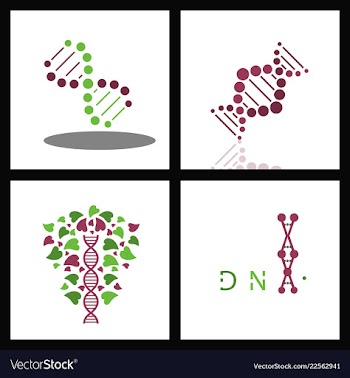 Set of dna helix logo template genetics design vector image