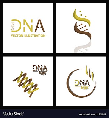Set of dna helix logo template genetics design vector image