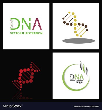 Set of dna helix logo template genetics design vector image