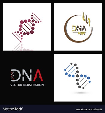 Set of dna helix logo template genetics design vector image