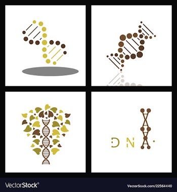 Set of dna helix logo template genetics design vector image