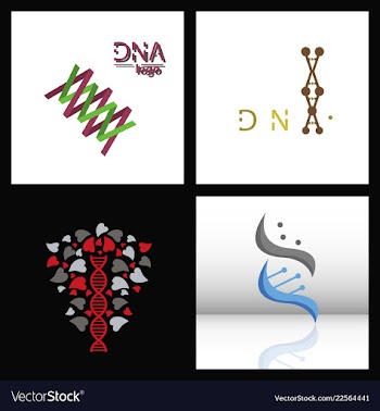 Set of dna helix logo template genetics design vector image