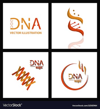 Set of dna helix logo template genetics design vector image