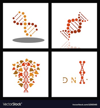 Set of dna helix logo template genetics design vector image