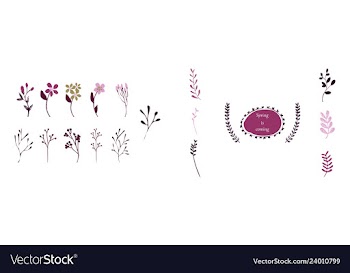 Set of elegant floral elements for your design vector image