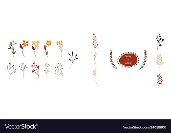 Set of elegant floral elements for your design vector image