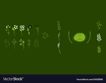 Set of elegant floral elements for your design vector image