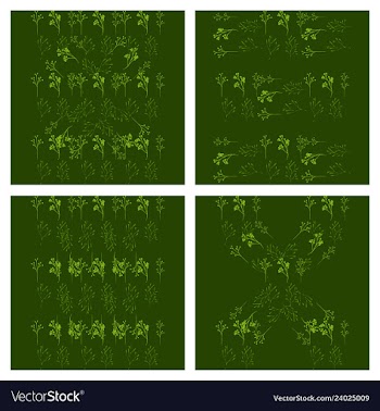 Set of elegant floral elements for your design vector image