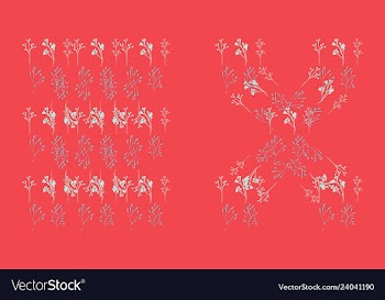 Set of elegant floral elements for your design vector image