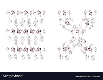 Set of elegant floral elements for your design vector image