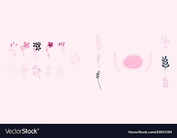 Set of elegant floral elements for your design vector image