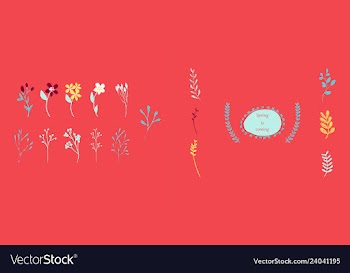 Set of elegant floral elements for your design vector image