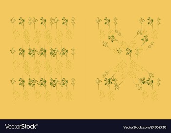 Set of elegant floral elements for your design vector image