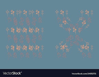 Set of elegant floral elements for your design vector image