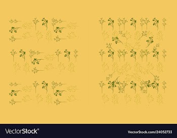 Set of elegant floral elements for your design vector image