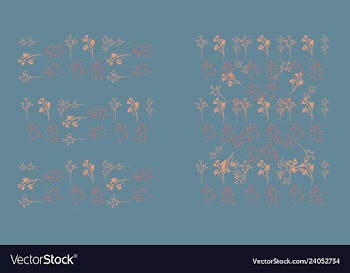 Set of elegant floral elements for your design vector image