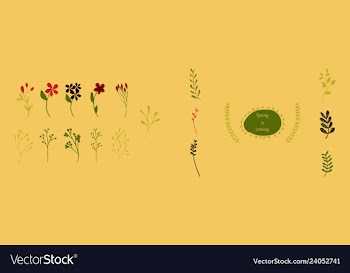 Set of elegant floral elements for your design vector image