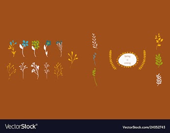 Set of elegant floral elements for your design vector image