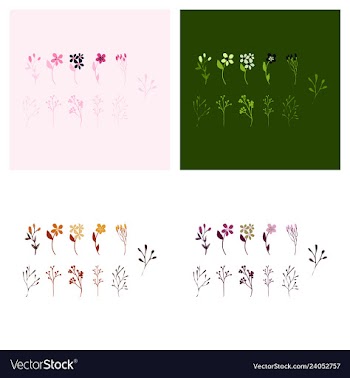 Set of elegant floral elements for your design vector image