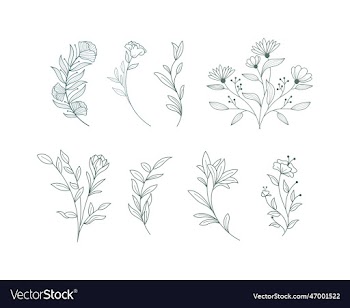 set of elegant floral logo elements borders