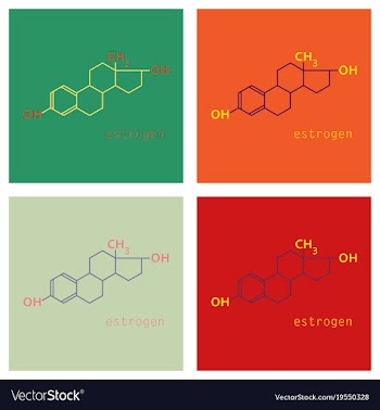 Set of estrogen molecule structure in style vector image