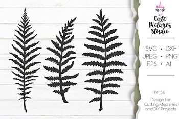 Set of Fern leaves SVG PNG clipart, Wild flower SVG